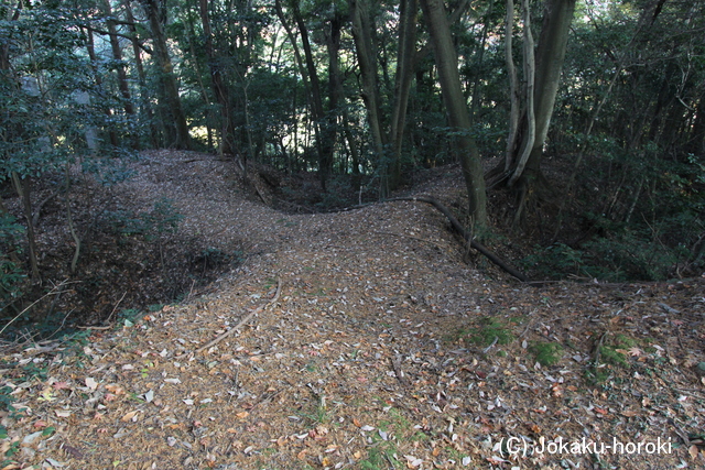 豊前 内蔵寺城の写真