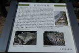 豊前 中津城の写真