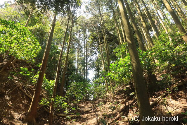 豊前 新田城の写真