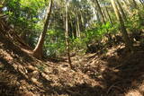 豊前 新田城の写真