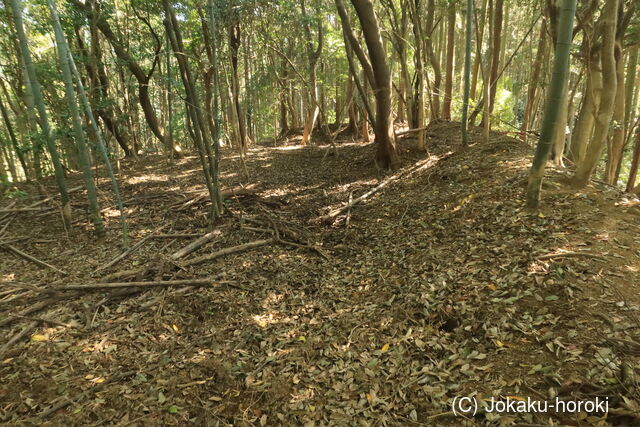 豊前 新田城(中城)の写真