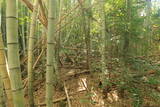 豊前 新田城(下城)の写真