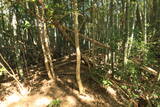豊前 新田城(下城)の写真