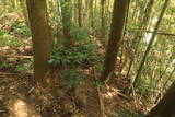 豊前 新田城(下城)の写真