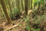 豊前 新田城(下城)の写真
