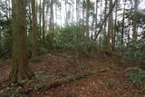 豊前 大坂山城の写真