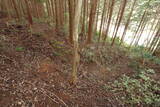 豊前 追揚城の写真