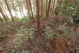 豊前 追揚城の写真