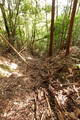豊前 追揚城の写真