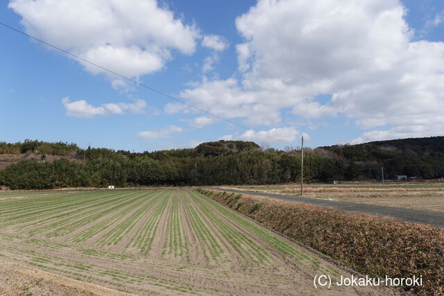 豊前 岡崎城の写真