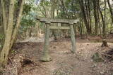 豊前 岡崎城の写真