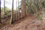 豊前 岡崎城の写真