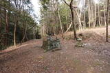 豊前 岡崎城の写真