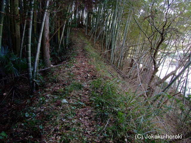 豊前 小友田城の写真