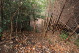 豊前 小山田城の写真