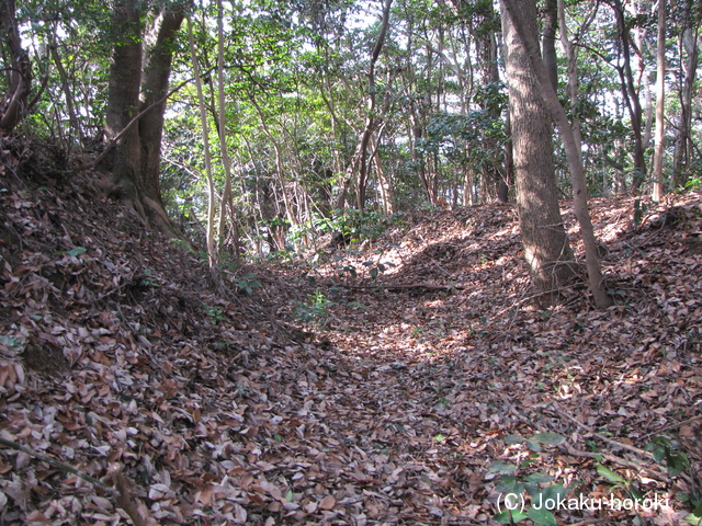 豊前 椎山城の写真