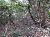 豊前 椎山城の写真