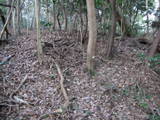 豊前 椎山城の写真
