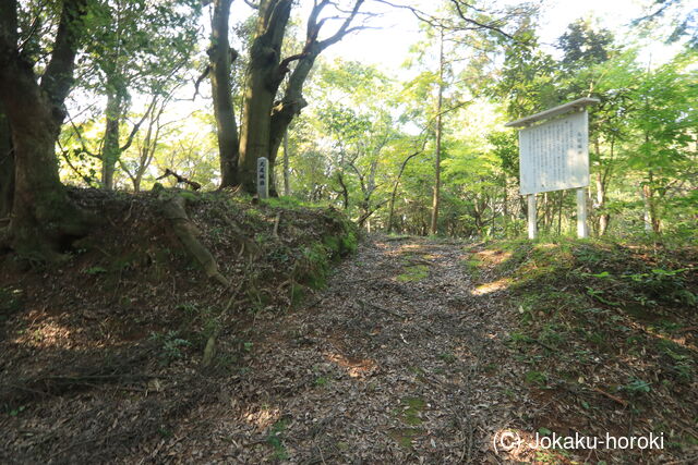 豊前 丸尾城(清水)の写真