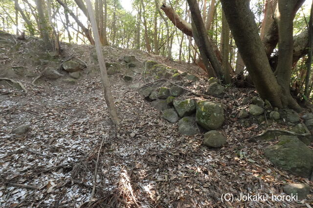 豊前 下深水城の写真