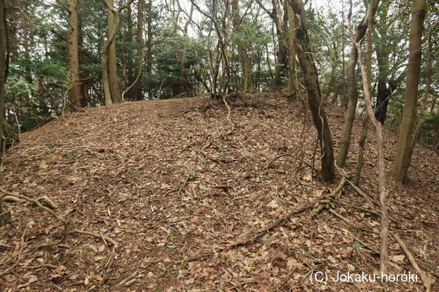 豊前 障子ヶ岳城砦群Aの写真