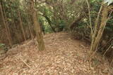 豊前 障子ヶ岳城砦群Fの写真