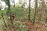 豊前 障子ヶ岳城砦群Fの写真