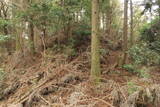 豊前 障子ヶ岳城砦群Fの写真