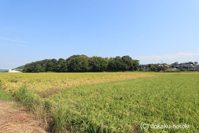 豊前 田島崎城の写真