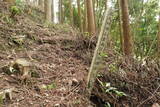 豊前 高畑山城の写真