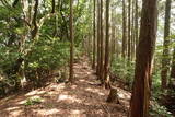豊前 高畑山城の写真