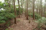 豊前 高畑山城の写真