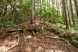 豊前 高畑山城の写真