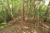豊前 高畑山城の写真