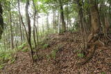 豊前 高畑山城の写真