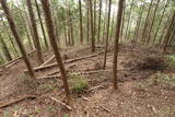 豊前 高畑山城の写真