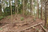 豊前 高畑山城の写真