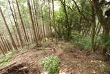 豊前 高畑山城の写真