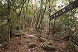 豊前 高城山城の写真