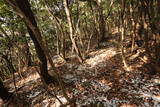 豊前 高城山城の写真