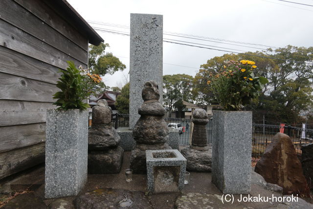 豊前 天賀城の写真