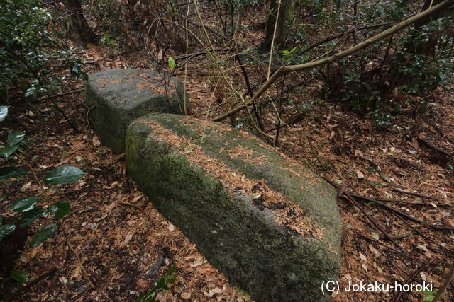 豊前 唐原山城の写真