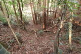 豊前 鳥越城の写真