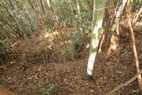 豊前 鳥越城の写真