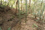 豊前 鳥越城の写真