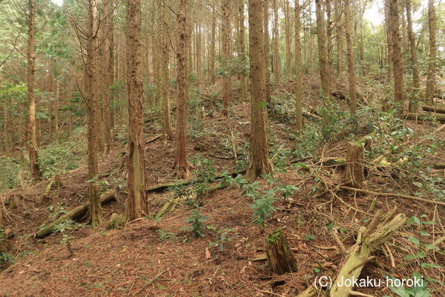 豊前 戸代山城の写真