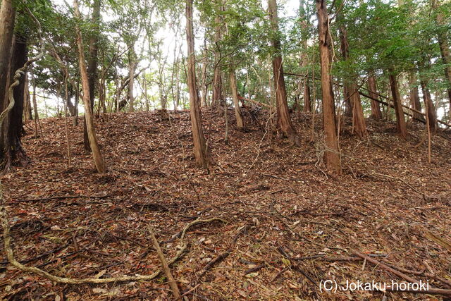 豊前 ツバメ岩城の写真