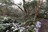 豊前 馬ヶ岳城の写真