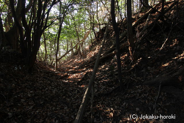 豊前 城山城(小城)の写真