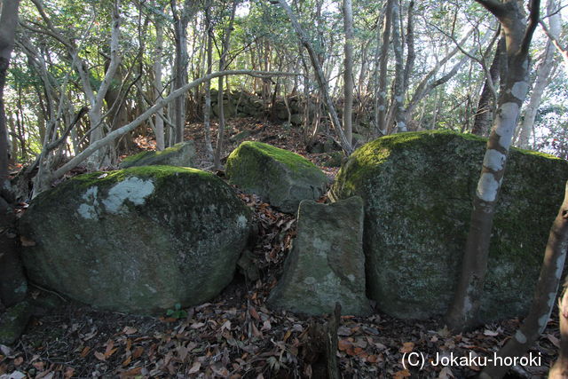 豊前 城山城(大城)の写真